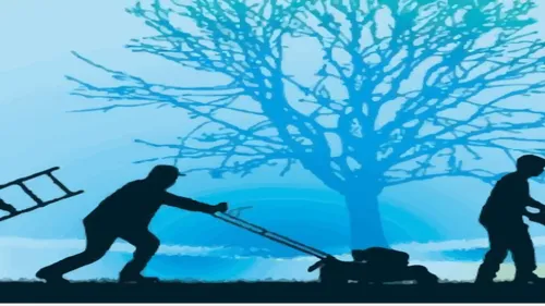 Argelès-sur-Mer : deux nouvelles formations dans l'agricole